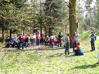 11 Cerisiers en fleurs dans l&#39;Ortenau Mösbach 10 04 2016 102
